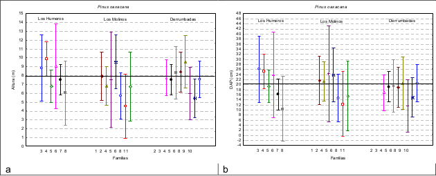  Promedios de altura y di&aacute;metro por familias de Pinus oaxacana. La l&iacute;nea horizontal representa la media general.