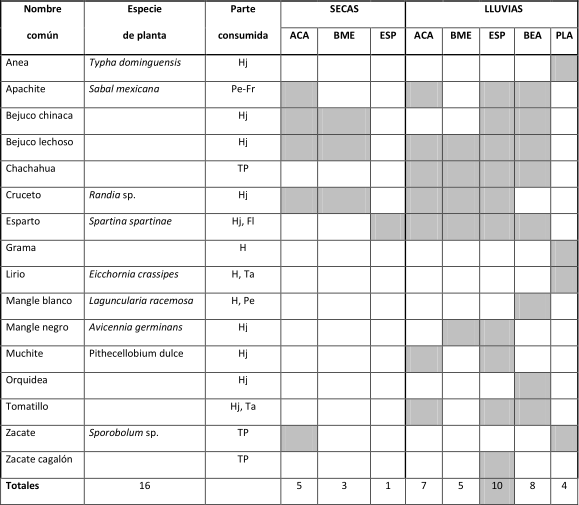 Cuadro 1. Alimentación del ganado vacuno en Rincón de Lechería, Alvarado, Veracruz, México. Código de parte consumida: H: hoja; Hj: hoja joven; Pe-Fr: pecíolo de las frondas; TP: toda la planta; Ta: tallo; Código de tipo de hábitat: ACA: acahual; BME: borde manglar-espartal; ESP: espartal; BEA: borde espartal-acahual; PLA: playa.