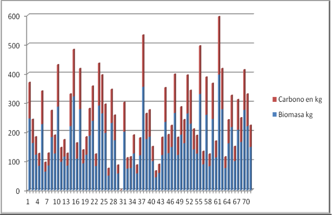 Figura 1. Relaci�n de peso de la biomasa y carbono fijado en la plantaci�n de Pinus halepensis (Miller).