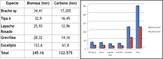 Cuadro 2 y Figura 2. Carbono estimado en la biomasa de 100 individuos de especies diferentes en las �reas urbanas de Santiago del Estero capital y Banda.