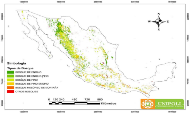 Figura 2. Mapa de distribuci�n de los bosques en M�xico. Fuente: SEMARNAT, 2020.