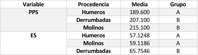 Tabla 5. 