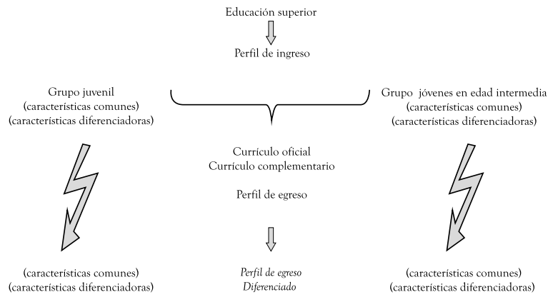 Componentes del proceso de formaci&oacute;n profesional desde la perspectiva intercultural (culturas juveniles)