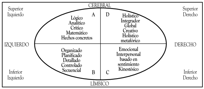 Modelo de cerebro total de Ned Herrmann