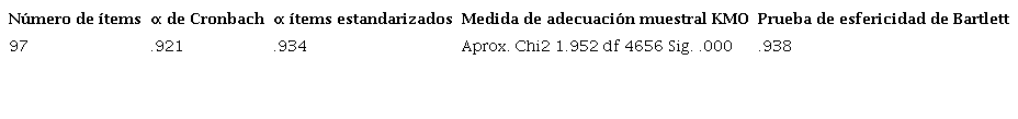 Medidas de consistencia interna y adecuaci&oacute;n muestral