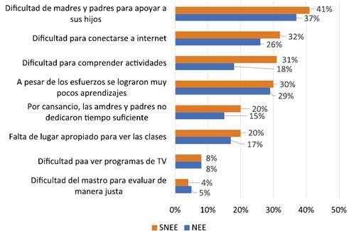 Principales problemas que enfrentaron las alumnas/os durante el confinamiento.