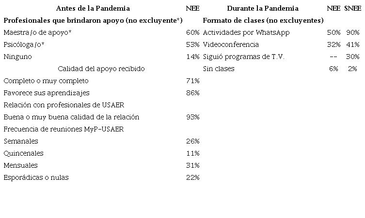 Apoyo recibido por el alumnado con NEE antes de la pandemia y formato de clases durante la pandemia del alumnado con y sin NEE