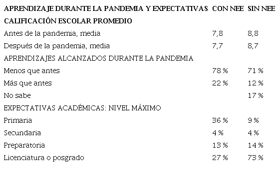 Aprendizaje de los alumnos con y sin NEE durante la pandemia y expectativas académicas de sus padres