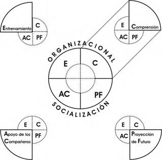 Modelo de Socializaci&oacute;n Organizacional de Taormina (1994).