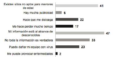 Riesgos de Internet.