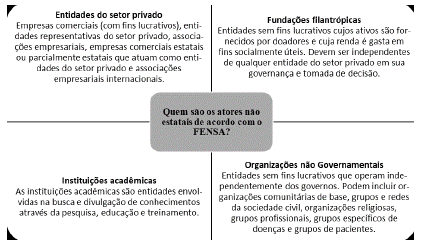 Atores não estatais - FENSA