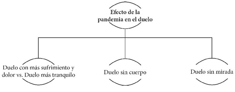 Subcategor�as relacionadas a la categor�a 2 encontrada en el an�lisis de datos