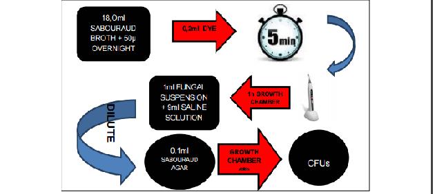Esquema do passo a passo
da metodologia. Segundo Pereira15, 2014.