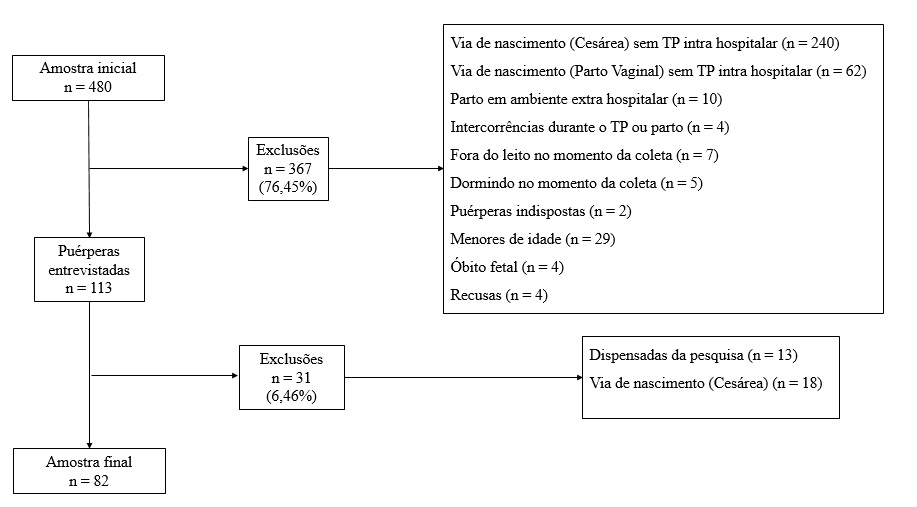 Sele&ccedil;&atilde;o das pu&eacute;rperas para estudo. Uberl&acirc;ndia (MG), Brasil, 2017