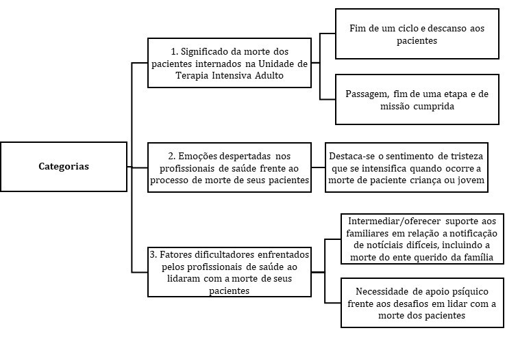 Categorias acerca do significado de morte para profissionais de sa&uacute;de da UTI-A HC-UFTM. Uberaba, MG, Brasil. 2019