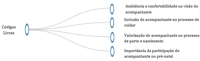 Categorias tem&aacute;ticas que emergiram a partir do discurso dos participantes, conforme mapa de c&oacute;digos livres gerados pelo software webQDA. Curitiba/PR, 2019.