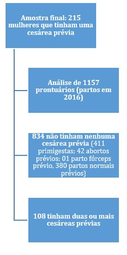 Sele��o de prontu�rios para an�lise de mulheres que realizaram ces�rea no ano de 2016 Hospital de Cl�nicas da UFTM UberabaMG 2019