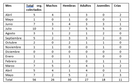 Total de organismos revisados, por sexo y edad durante el
periodo de estudio.
