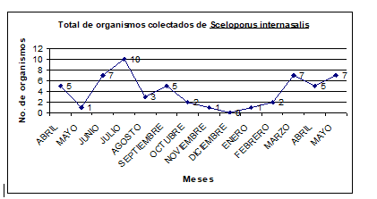 Total
de organismos revisados