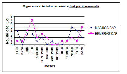 Total de
organismos capturados por sexo