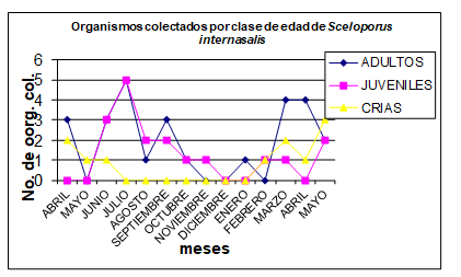 Organismos encontrados
por clase de edad.