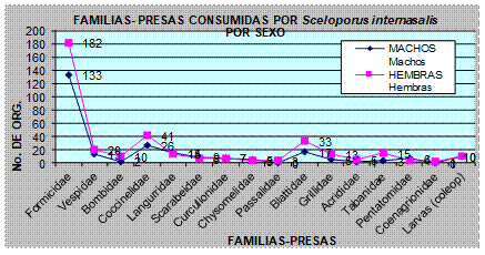 Frecuencia de aparición de las
familias – presa, en los contenidos estomacales de Sceloporus internasalis por sexo.
