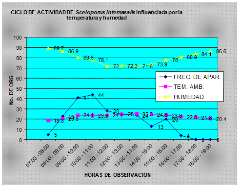 Ciclo de
actividad a lo largo del día por S.
internasalis relacionando la temperatura y humedad