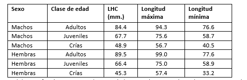 Medidas
morfométricas, promedio por edad para ambos sexos de Sceloporus internasalis.