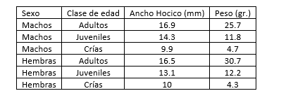 Promedios de
medidas del hocico y peso, por sexo y edad.