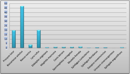 Abundancia relativa de
mam&iacute;feros en la comunidad de San Jos&eacute; Degued&oacute;.