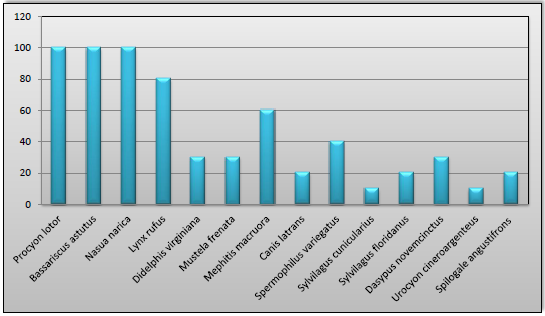 Frecuencia relativa de
mam&iacute;feros en la comunidad de San Jos&eacute; Degued&oacute;.