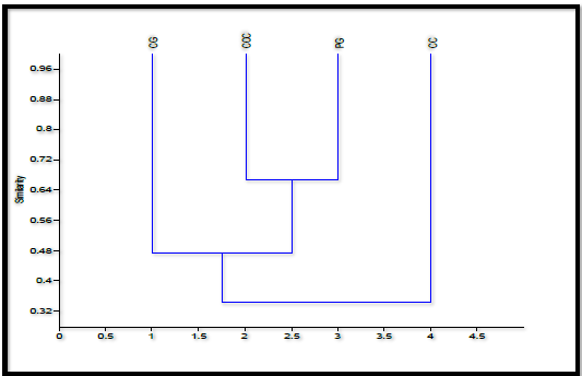 Dendrograma de similitud
construido a partir del &iacute;ndice de Jaccard para datos de presencia &ndash; ausencia.
CG (Cerro el Grande), CCA (Cerro El Caballo), (PG) Presa la Goleta, RC (Ca&ntilde;ada
la Chispa).