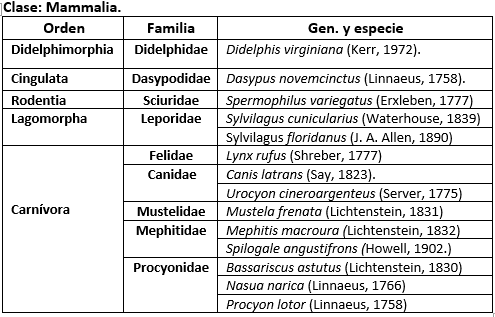 Composici&oacute;n mastofaun&iacute;stica
de la Ca&ntilde;ada &ldquo;La Chispa&rdquo; y sus alrededores en la comunidad de San Jos&eacute; Degued&oacute;,
Soyaniquilpan de Ju&aacute;rez, Edo Mex.
