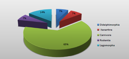 Ordenes de las especies
registradas.