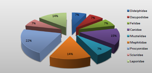 Familias que se registraron
en las &aacute;reas de estudio.