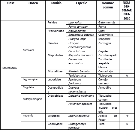 Tabla 1.