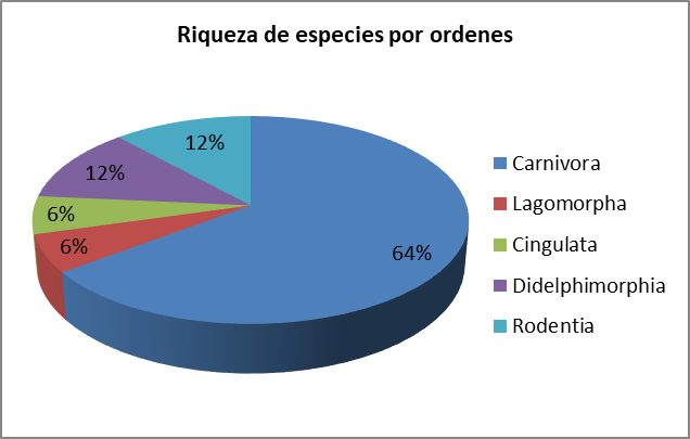 Figura 2. 