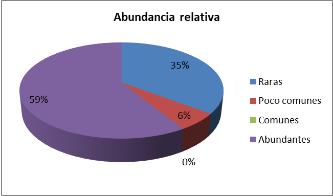 Figura 4.
