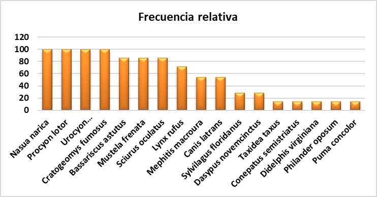 Figura 6.