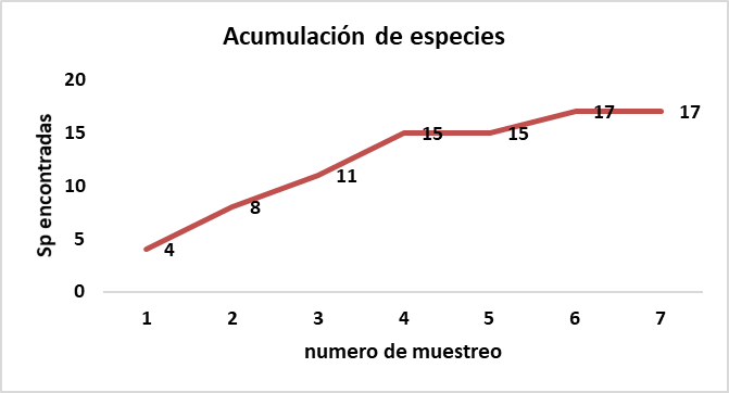 Figura 7. 