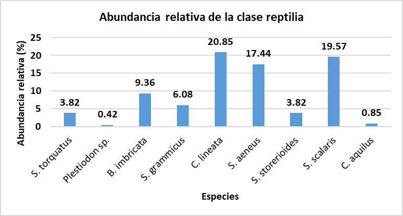 Figura 6.