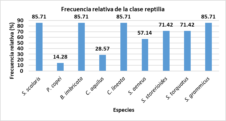 Figura 10.