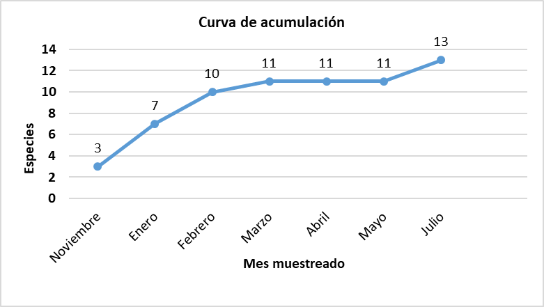 Figura 13.