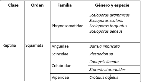 Cuadro 2.