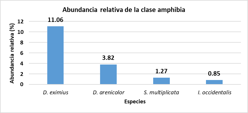 Figura 5.