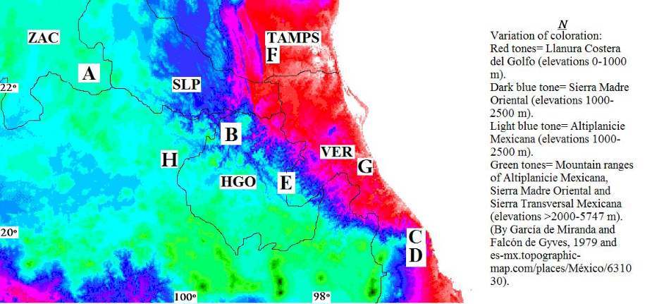 Eastern and northeasternCentral of México Type localities A Sceloporus torquatus minor fide Webb & Axtell 1994 here tried as S minor Cope 1885 see text Fig 8 B S jarrovii immucronatus fide Smith 1936a here tried as S immucronatus Smith 1936a see text Fig 1 2 D S serrifer plioporus fide Smith 1939 here tried as S plioporus Smith 1939 see text Fig 6 Another localities C MCZ R21093 S cyanogenys see text Fig 7 E EBUAP 2808 S immucronatus see text Fig 1 F S s cariniceps fide Martin 1952 formerly S cariniceps Martin 1952 here study see text Fig 4 G S cariniceps see text Figs 3 5 H S j erythrocyaneus Mertens 1950 here tried as S erythrocyaneus Mertens 1950 see text Fig 9 10 11 Scale map _______100 km Abbreviations Nnorth HGO Hidalgo SLP San Luis Potosí TAMPS Tamaulipas VER Veracruz ZAC Zacatecas