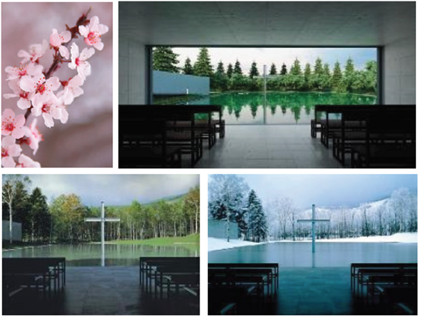 Conjunto de im&aacute;genes que muestran el Kisetsu-kan, sentimiento estacional en la obra de Tadao Ando. De izquierda a derecha se presentan: la flor de cerezo de primavera, la vista de la Iglesia del Agua en verano, la Iglesia del Agua en oto&ntilde;o y la Iglesia del Agua en invierno7