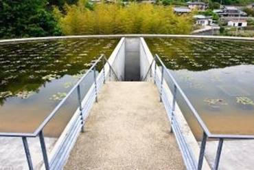 Estanque de flores de loto en el Templo del agua.