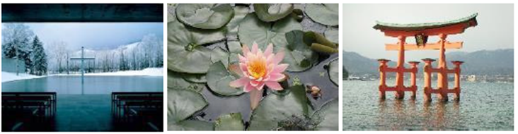 De izquierda a derecha, se presenta lo siguiente: vista del interior al exterior de la Iglesia del agua, obra arquitect&oacute;nica de Tadao Ando; flor de loto sobre el agua y vista del Santuario de Itsukushima, Miyayima, Jap&oacute;n (foto propia)25