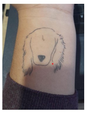 Tatuaje de la entrevistada 5 (E.5)